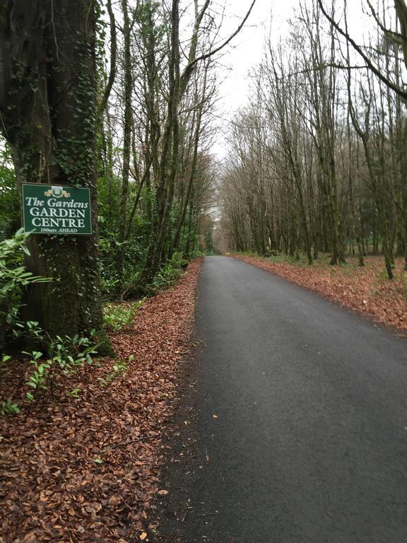 Leitrim Inn Carrick-on-Shannon Luaran gambar